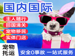 佳木斯东郊空运国际宠物托运 【国